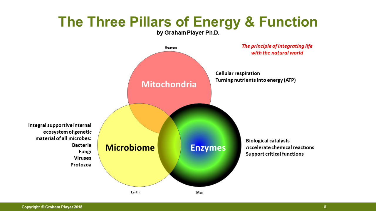 Slide8